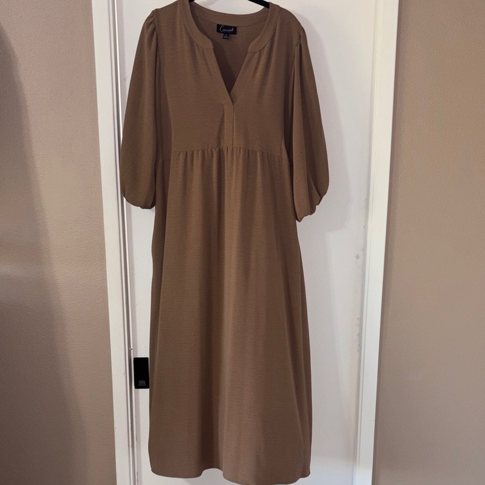 Tan Balloon Sleeve Dress